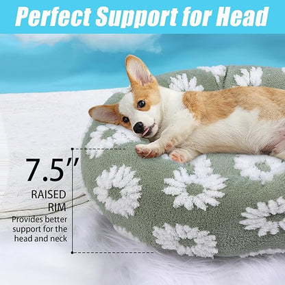 HYQ Small Dog Bed, Cat Beds for Indoor Cats, Dog Beds for Small Dogs with Anti-Slip Bottom, Cute Puppy Bed Washable-White-24inch