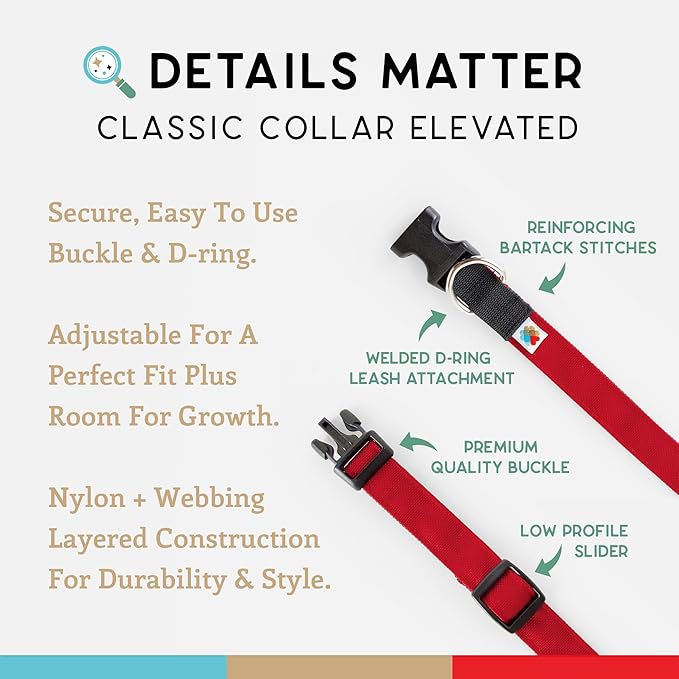 Dog Collar, Lightweight, Heavy Duty Dog Collar with Buckle, Fabric Pet Collar, Breathable & Adjustable Puppy Collar, Dog Collars for Small Dogs (Red, Small - 8-12 Inch) - Wildebeest