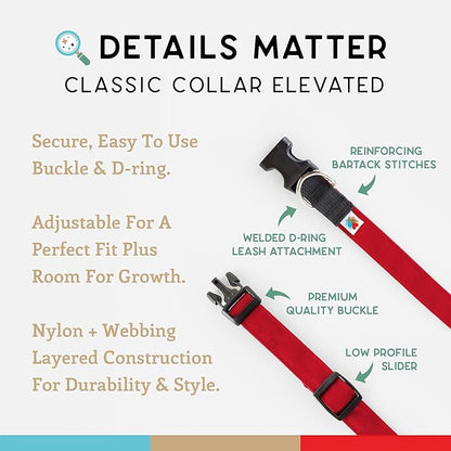 Dog Collar, Lightweight, Heavy Duty Dog Collar with Buckle, Fabric Pet Collar, Breathable & Adjustable Puppy Collar, Dog Collars for Small Dogs (Red, Small - 8-12 Inch) - Wildebeest