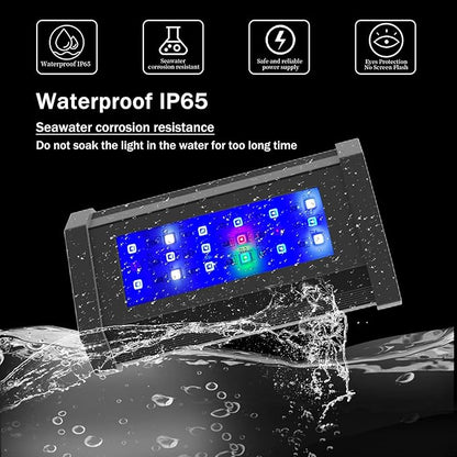 Lominie Small LED Aquarium Light Full Spectrum, 2-Channel Dimmable Fish Tank Light with Adjustable Gooseneck for Saltwater, Coral Nano Tank (Saltwater)