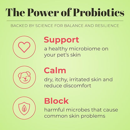 Skout's Honor Probiotic Pet Shampoo & Conditioner with Avocado Oil & Omega-3s, 97% Natural, Paraben & Sulfate-Free, Cruelty-Free, 16oz, Sunkissed Coconut