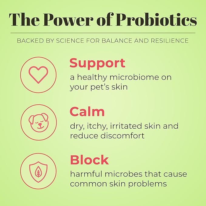 Skout's Honor Probiotic Pet Shampoo & Conditioner with Avocado Oil & Omega-3s, 97% Natural, Paraben & Sulfate-Free, Cruelty-Free, 16oz, Sunkissed Coconut, 2-Pack