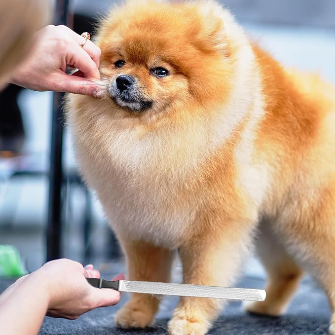 2 Pieces Stainless Steel Nail File for Dogs Women, Ymapinc Toe Nail Files for Thick Nails Professional Finger 4 Sided for Men Seniors & Dogs