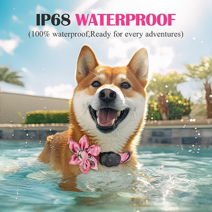 Airtag Dog Collar for Small Dogs, Rose-Pink Dog Collars Girl with AirTag Holder Waterproof Airtag Case, Including Flower Spring Dog Collar Bowtie, for All Female Dogs ï»