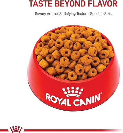 Royal Canin Labrador Retriever Adult Dry Dog Food, 30 lb bag