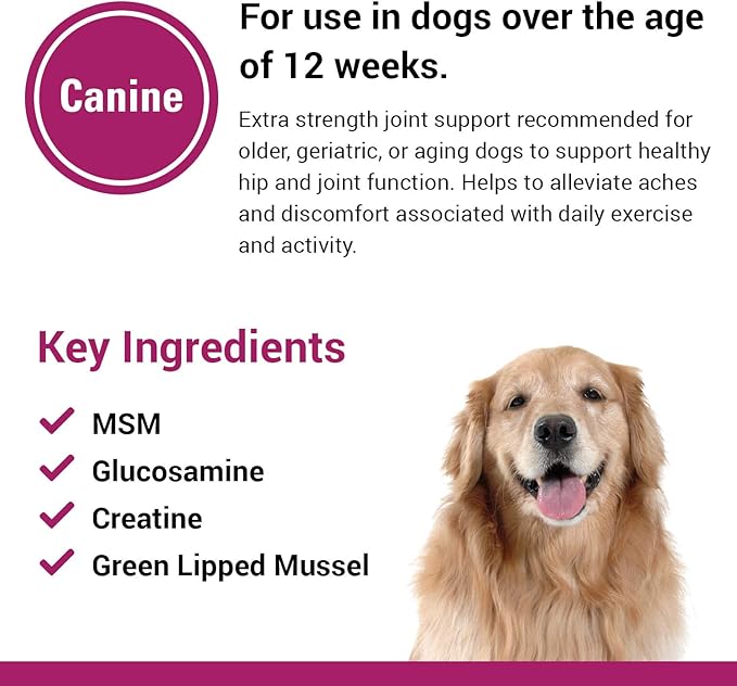 Vet Classics Re-Flex Ultra Extra-Strength Joint Support Dog Supplement  Includes MSM, Creatine, Glucosamine, Green Lipped Mussel  Supports Healthy Dog Joints  Chewable Tablets 120 Ct.