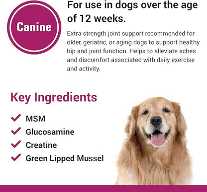 Vet Classics Re-Flex Ultra Extra-Strength Joint Support Dog Supplement  Includes MSM, Creatine, Glucosamine, Green Lipped Mussel  Supports Healthy Dog Joints  Chewable Tablets 120 Ct.