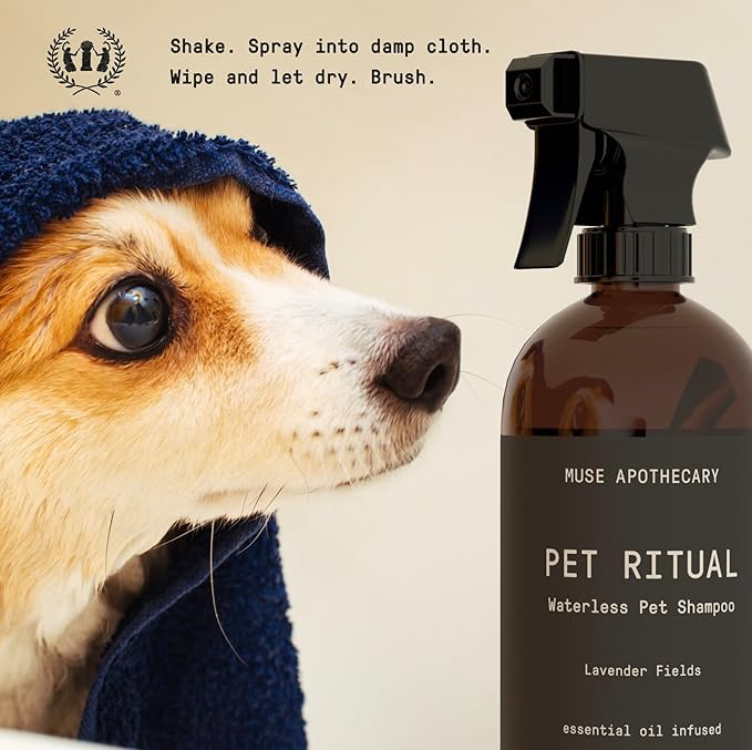 Muse Apothecary Pet Ritual Aromatic Waterless Dog Shampoo - No Rinse Dry Shampoo for Dogs & Cats - Essential Oils Infused, 16oz, Lavender Fields