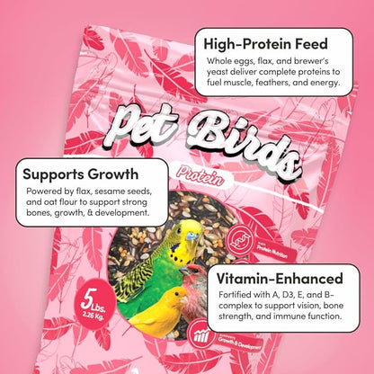 Mycelium Pet Bird Protein Bird Seed Mix (5 LB Bag) | High-Protein Bird Food for Finches, Canaries, Budgies & Parrotlets | Supports Energy & Growth | Organic, Non-GMO Daily Diet | Made in USA