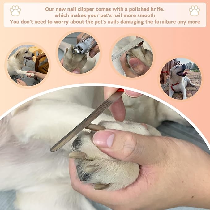Dog Hair Clippers for Pet Grooming Kit Paw Trimmer Nail Grinder for Grooming Waterproof/Low Noise Rechargeable Cordless Dog Clippers for Pet Cats Dogs