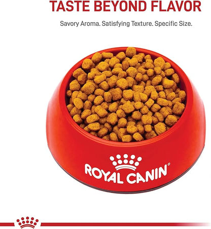 Royal Canin Chihuahua Adult Dry Dog Food, 10 lb bag