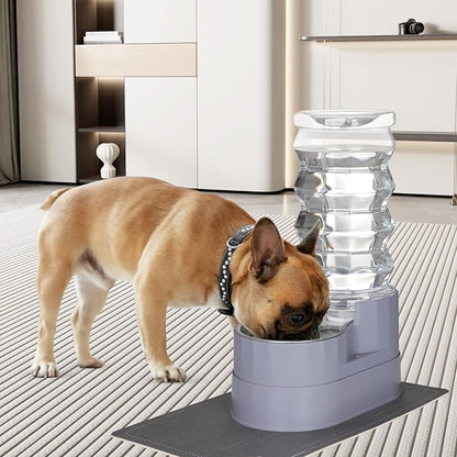 RIZZARI Large Water Dispenser for Dogs: 8L Gravity Gray Automatic Stainless Steel Waterer - 100% BPA Free - Raised Pet Feeder for 20-42 LB Senior Dogs with Joint Pain in Bedroom Garden