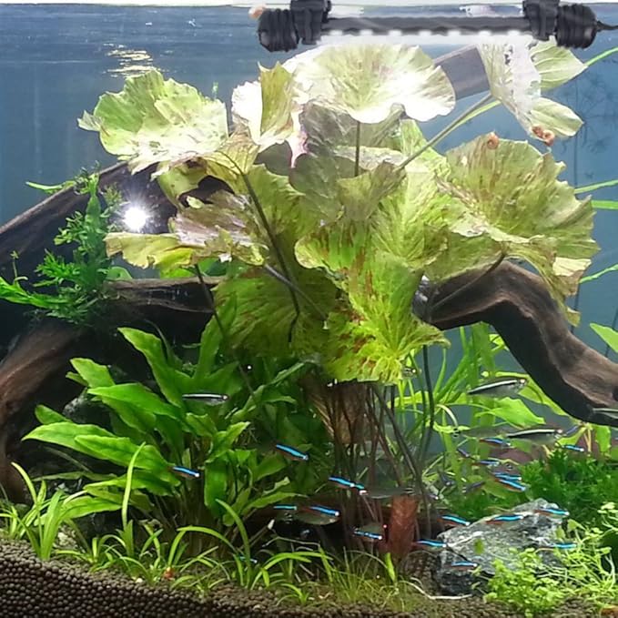 LED Aquarium Light, Fish Tank Lights Underwater Crystal Glass Bright IP68 Waterproof Submersible Strip Bar Aquarium Tank Light, White, 7.5 inch