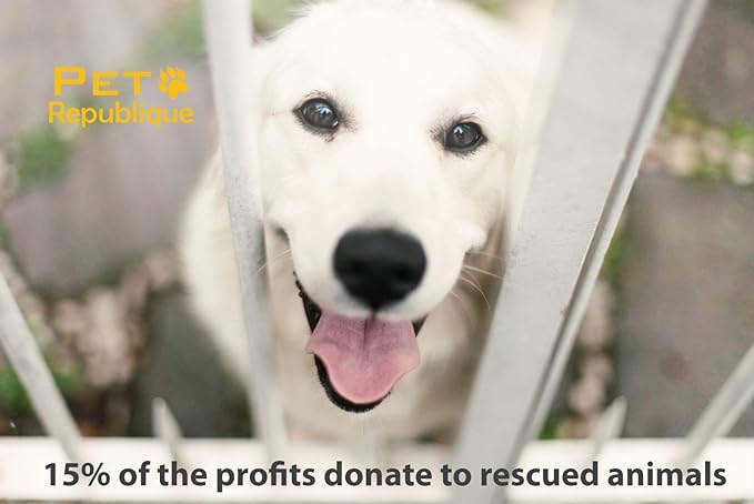 Dog Nail Grinder by Pet Republique - 2 Speed Electric Rechargeable Nail Grinder - Gentle, Quiet, Low, Painless Nail Trimmer - Multi-setting Grinder for Any Small or Medium Dog, Cat, and Pet Claw