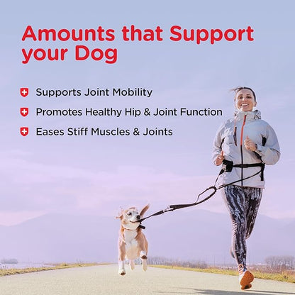 Nutri-Vet Hip and Joint Biscuits for Dogs, Large Breed Mobility Supplement, 300mg Glucosamine per Dog Treat, Supports Cartilage Flexibility and Connective Tissue, Crunchy Peanut Butter Flavor, 4lb Bag