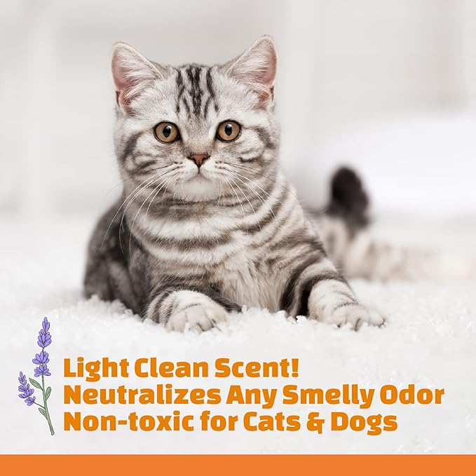 Mr. Tom's Magic Towel - Pet Wipes for Cats - Rinse-Free Compressed Shampoo Towel for Cats and Dogs - Non-Toxic, Re-usable, pH-Balanced, Omega 3 Fish Oil Cat Shampoo - 10 Towel Pieces