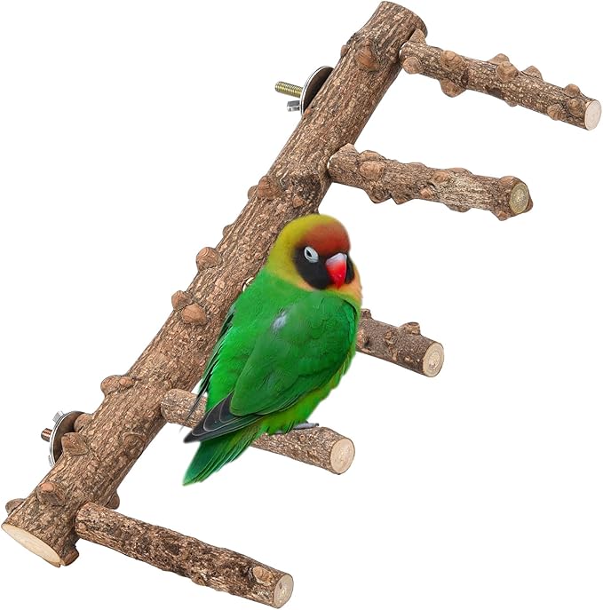 CozyCabin Natural Bird Ladder Stand, Hanging Multi Branch Grapevine Parrot Perch Bird Cage Toys for Small Budgies Conure Parakeets Cockatiels Lovebirds (Ladder)
