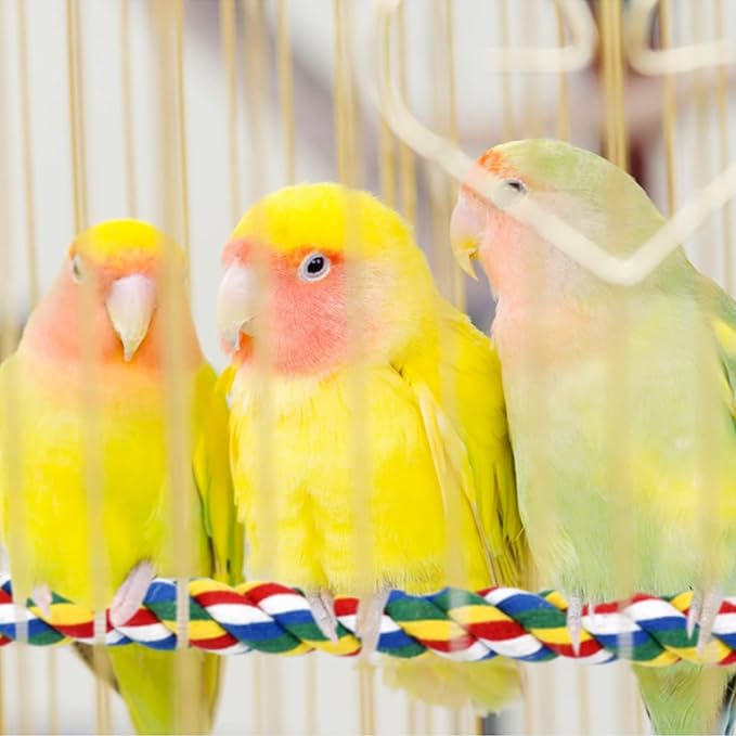 Cotton Rope Bird Perch, Spiral Bungee Toys for Parakeets, Cockatiels, Lovebirds, Finches, Colorful, 31.5 Inch, 2 Pack