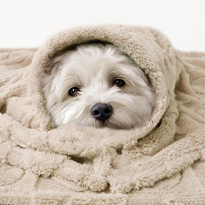 Luciphia Small Dog Blanket Washable Pet Bed Cover Soft Fluffy Puppy Blanket with Premium Fleece Cozy Calming Cat Blankets for Indoor Cats Beige 41x31 inch