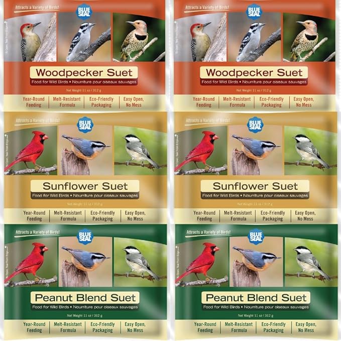 Blue Seal Nut Feast Suet Cakes for Wild Birds | No Mess Suet Feed with Variety of Nuts | Food for Woodpeckers, Cardinals, Siskins & Sparrows | Use with Suet Feeder | 11oz Seed Cake (6 Variety Pack)