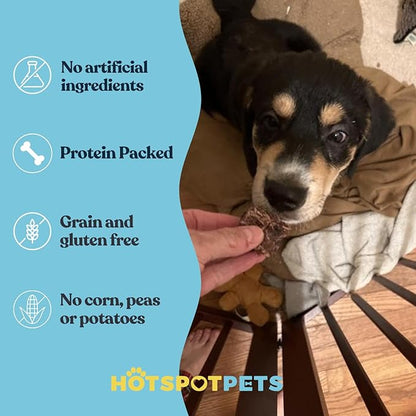 hotspot pets Beef Lung Dog Treats -1 Pound Big Bag - Slow Roasted, All Natural Dehydrated Premium Beef Lung Training Treats for Dogs - High Protein- Rawhide Alternative Snack for All Breeds