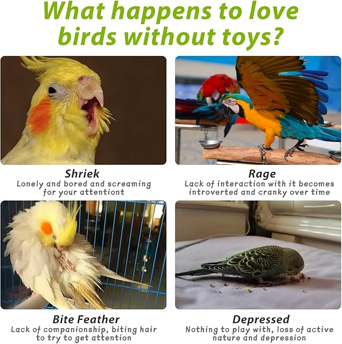 PINVNBY 2 Pack Parrot Toys Chewing Bird Toy Cuttlebone Beak Grinding Stone Cage Hanging Toys with Bell for African Greys Amazon Conure Eclectus Budgies Parakeet Cockatiel Hamster Chinchilla