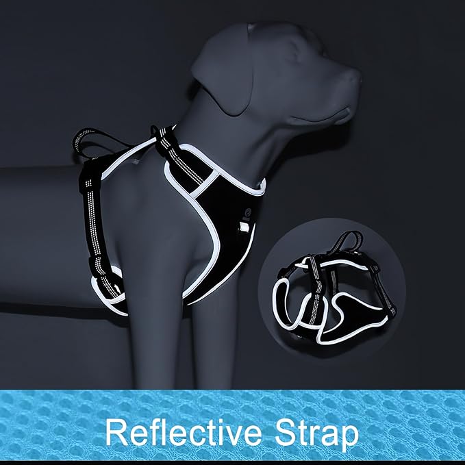 Dog Harness for Medium Dogs No Pull, Adjustable Reflective Oxford Outdoor Vest, Easy for Walk and Training, Front/Back Leash Clips for Small, Medium, Large Dogs (Blue, S)