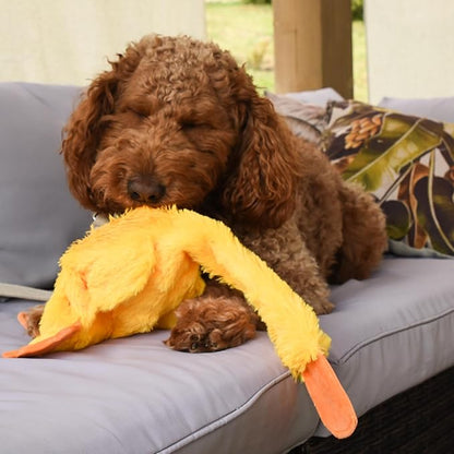 FGA MARKETPLACE Duck Flat NO Stuffing NO Squeak Plush Dog Toy, Funny Style Will Entertain Your Dog for Hours, Recommended for Small and Medium Dog 21 INCH Long