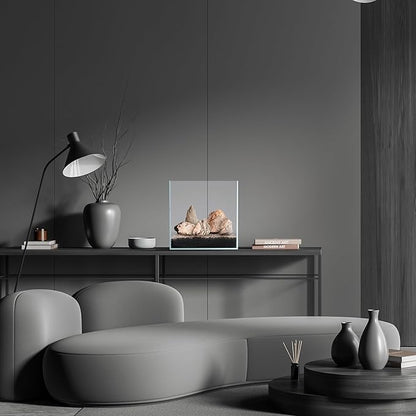 SubstrateSource Natural Stone for Aquarium, Terrarium, Paludarium, Reptile Enclosures - Set of Decorative Rocks for Landcapes, Aquascaping, Fish Tank Decor (Sand Stone, 30 Pounds, 3-8")