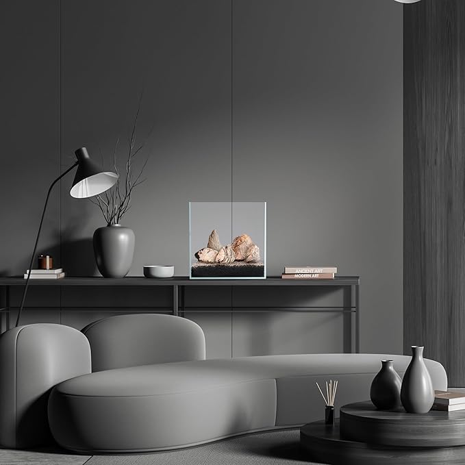 SubstrateSource Natural Stone for Aquarium, Terrarium, Paludarium, Reptile Enclosures - Set of Decorative Rocks for Landcapes, Aquascaping, Fish Tank Decor (Sand Stone, 10 Pounds, 3-7)