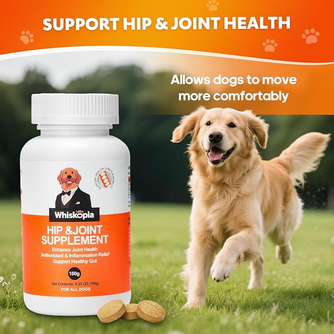 Hip and Joint Supplement for Dogs, Joint Pain Relief Supplement with MSM, Glucosamine, Chondroitin, Support Mobility, Health Chews for Dog, 120 Chews