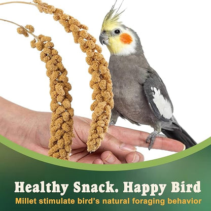RANZ 5LBS Millet Spray for Birds, GMO-Free, Sun Dried Spray Millet, Original Bird Treats & Supplement for Parrots, Cockatiels, Lovebirds, Painted Buntings and Finches, Parakeets Food