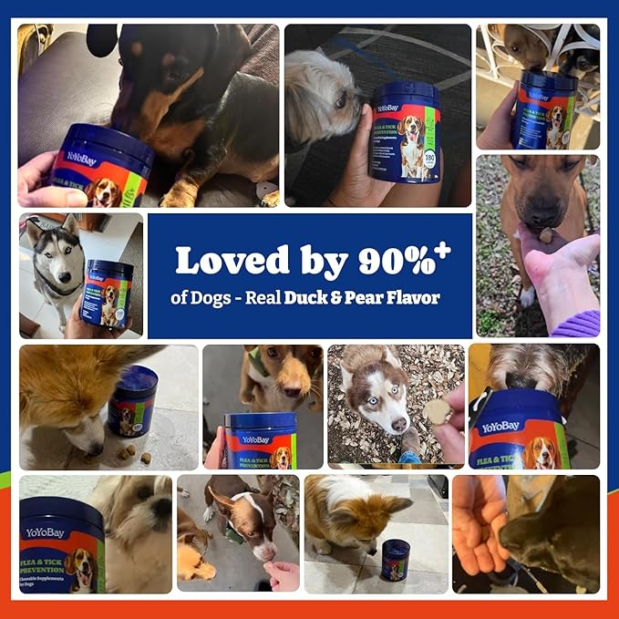 Flea and Tick Prevention for Dogs Chewable - Duck & Pear Flavor - Dog Flea and Tick Treatment Chewable, Natural Defense- Dog Immune Support Supplement, 2 Pack