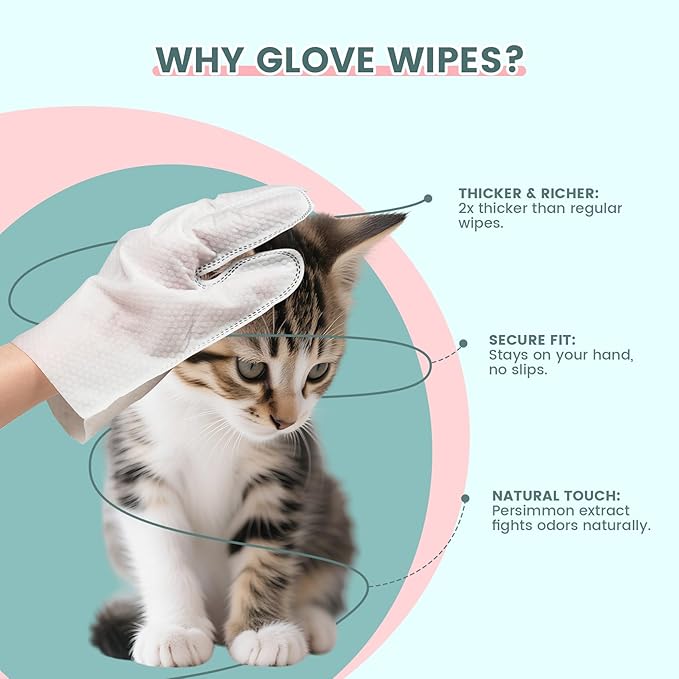 50 Pet Glove Wipes for Paws and Butt Large Puppy Wipes for Dogs Face and Body Dog Wipes Cleaning Deodorizing Cat Wipes Cleaning Fur and Butt Doggie Wipes Doggy Wipes Bum Dog Ear Wipes