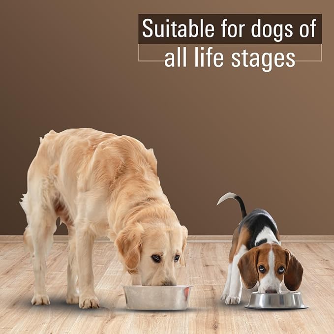 Freeze Dried Dog Treats  Single Ingredient Chicken Heart Dog Treat for Dogs & Cats