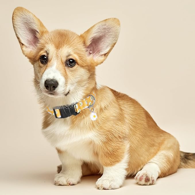 BiPawTi Dog Collars - Cute Flower Collar for Small Dog with Daisies Charms, Pretty Floral Dogs Collar for Female Dogs Puppy Girls Boys Pet (S, Yellow)