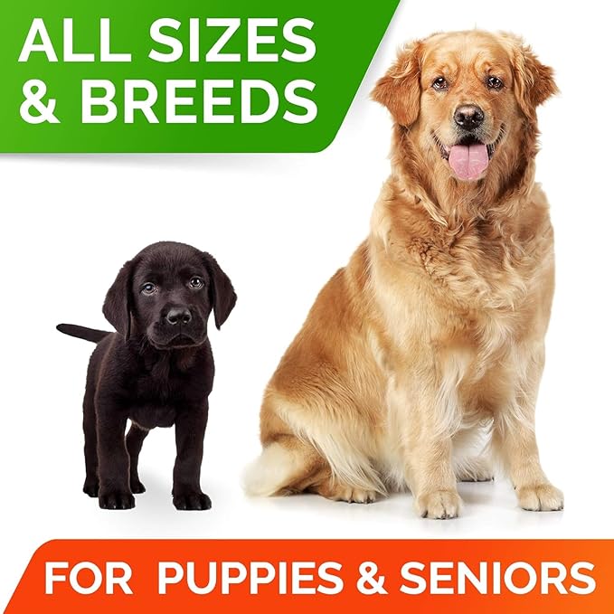 STRELLALAB Dog Probiotics Chews for Digestive Health & Gut Support with Yeast and Enzymes - Anti Gas, Diarrhea and Upset Stomach Immune Supplement - Digestion Treats with Fiber (180Ct, Bacon)