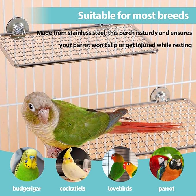 Bird Perches Platform, Stainless Steel Bird Perch Stand,Bird Cage Accessories Exercise Platform for Small to Large Parrots(Rectangle,XL)
