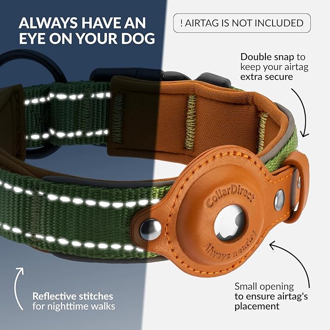 Airtag Dog Collar, CollarDirect, Reflective Dog Collar for Apple Air Tag for Large, Medium, and Small Dogs, Green, XL
