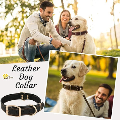 ADITYNA - Heavy Duty Leather Dog Collar for Large Dogs - Soft and Strong Leather Dog Collar for Walking and Training (Black - Gold Colored Buckle, Large: Fit 17" - 23" Neck)