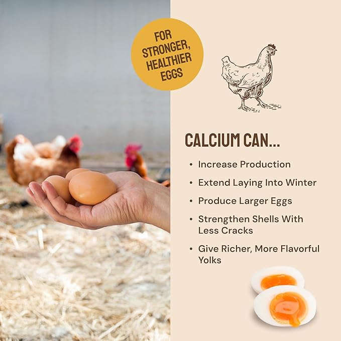 5lb Grubs & Grits Organic Chicken Feed - 3 Grub Blend with Oyster Shells & Grits - Dried Mealworms for Chickens Plus Large & Small Black Soldier Fly Larvae - Food Designed for Foraging