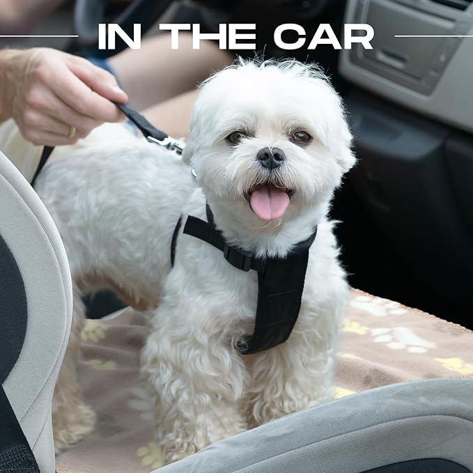 Chumia 28 Pieces Puppy Blanket Bulk Small Fleece Pet Blanket for Puppy Dogs Kitten Cats Pets Soft Warm Paw Print Sleep Mat Bed Covers, 28 Styles(15.75 x 23.63 Inch)