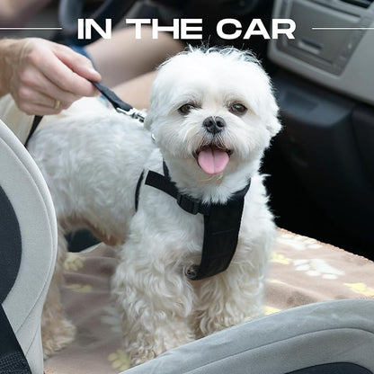 Chumia 28 Pieces Puppy Blanket Bulk Small Fleece Pet Blanket for Puppy Dogs Kitten Cats Pets Soft Warm Paw Print Sleep Mat Bed Covers, 28 Styles(15.75 x 23.63 Inch)