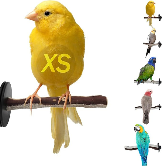 Sweet Feet and Beak Superoost Manzanita Pumice Pedicure Perch- Easy to Install Bird Cage Accessories for Healthy Feet, Nails and Beak - Natural Bird Perches Imitates Birds' Life in The Wild - XS 8"