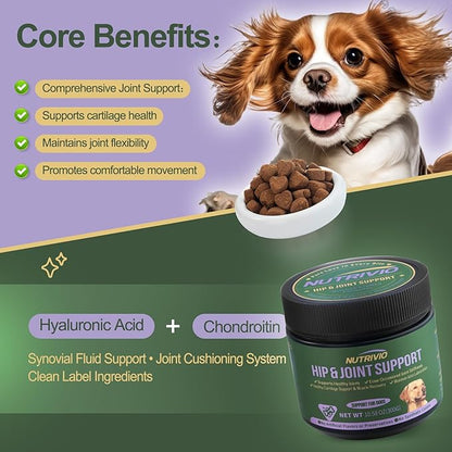 Hip and Joint Supplement for Dogs Chews with Glucosamine Chondroitin for Dog, Turmeric, Omega-3 and Collagen Chews for Dogs – Joint Pain Relief – Large & Small Breed - 300g