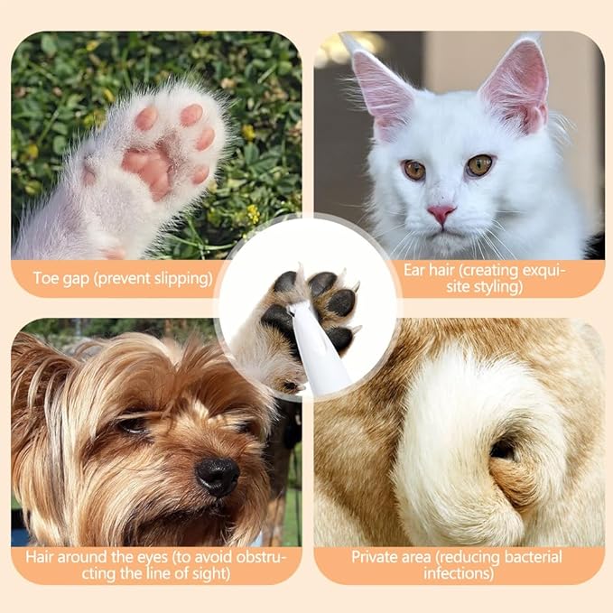 Dog Trimmer, Saffory Paw Trimmer, Saffory Electric Dog Trimmer for Paws, Pet Paws Trimmer with Led Light, Rechargeable Low Noise Pet Trimmer Hair Clipper-1set White with Oil(1)