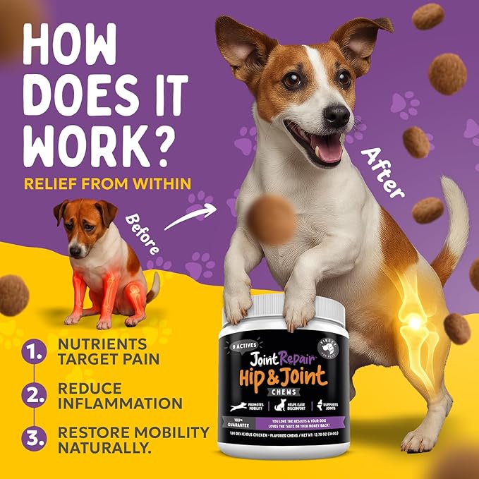 Finest For Pets Joint Repair Hip and Joint Chews for Dogs Glucosamine, Chondroitin, MSM, Hemp, Omega 3 & Turmeric for Dog Joint Support, Mobility & Pain Relief - (120 Chicken Chews, Made in USA)