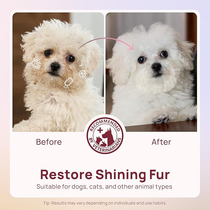 HICC PET Cleaning Deodorizing Wipes for Dogs & Cats, Vet Recommended Nourishes Smoothes Fur Pet Grooming Wipes with Fermented Coconut Oil, Hypoallergenic Dog Wipes for Paws and Butt, Face, Body