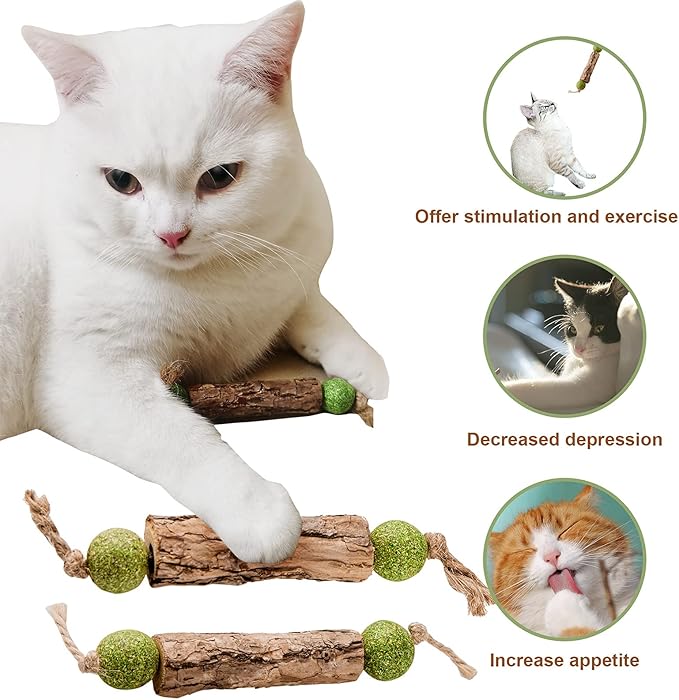 Silvervine Sticks Catnip Toys for Cats, 5 Pack, Interactive Indoor Cat Toy for Teeth Cleaning, Natural Matatabi Chew Treat for Aggressive Chewers