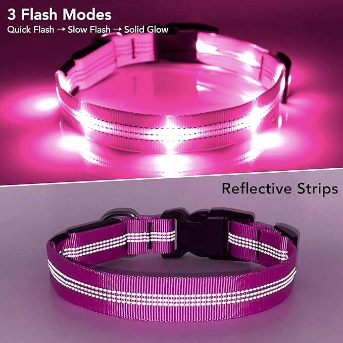 BSEEN Light Up Dog Collars - Glowing LED Dog Collar, Reflective Puppy Collar, Adjustable Lighted Dog Collar, Rechargeable Pet Collar for Night Walking (Pink-II, Large)